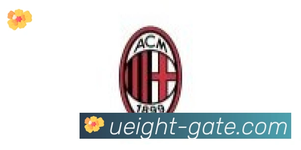 U8国际合作伙伴