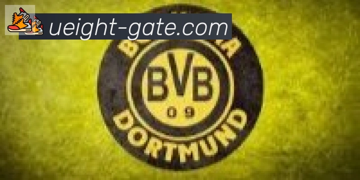 U8国际合作伙伴