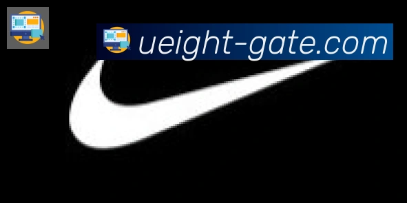 U8国际合作伙伴