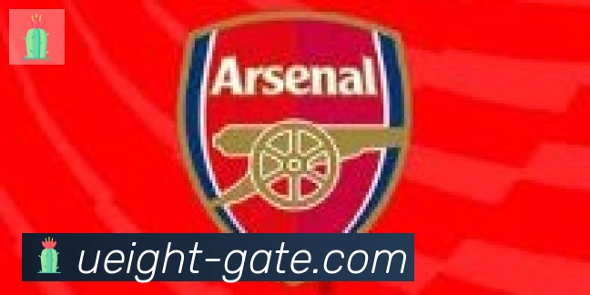 U8国际合作伙伴